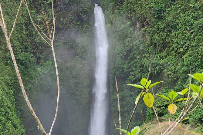 Full-Day Vara Blanca Hike Tour - Pickup Information