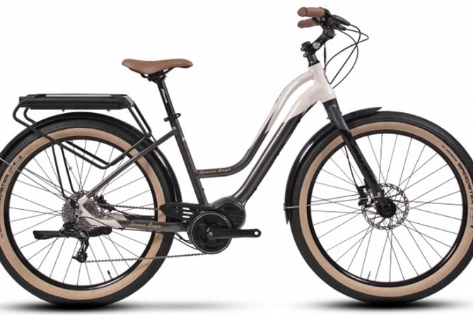 Full Day Venice E-Bike Rental - Rental Details and Inclusions
