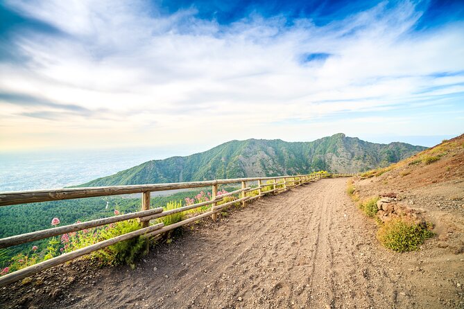 Full Day Vesuvius and Pompeii Ruins Combined Tour From Naples - Key Points