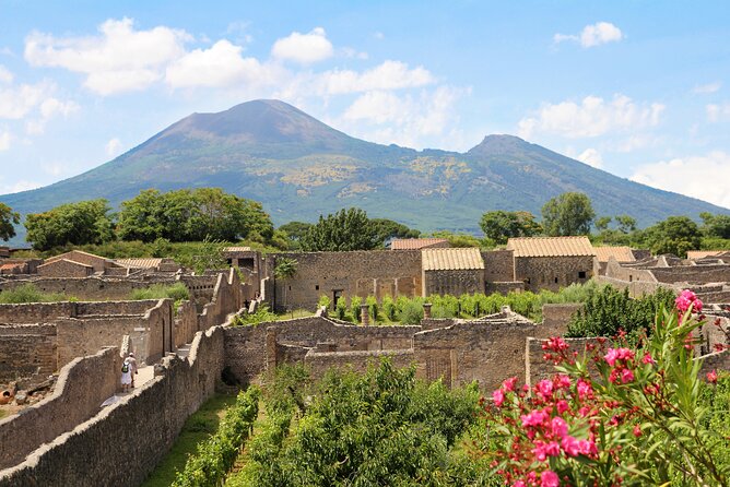 Full Day Vesuvius and Pompeii Ruins Combined Tour From Naples - Tour Capacity
