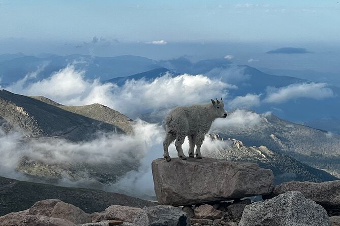 Full-Day Views and Scenic Mount Evans Private Guided Drive Tour - Booking Flexibility