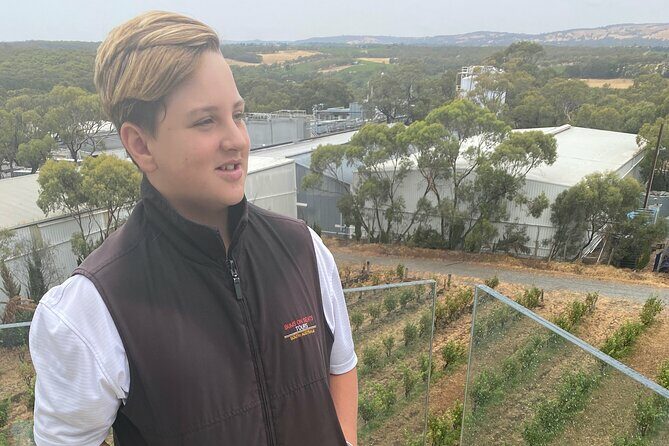 Full-Day VIP Hahndorf and McLaren Vale Private Car Tour - Frequently Asked Questions