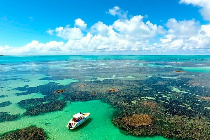 Full-Day Visit to Paripueira Beach and Tide Pools in Maceió - Key Points
