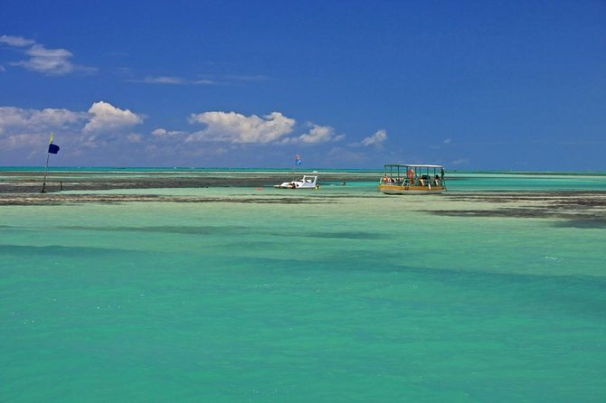 Full-Day Visit to Paripueira Beach and Tide Pools in Maceió - Tour Guide Services