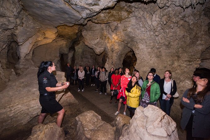 Full Day Waitomo Glow Worm Cave and Kiwi House Tour - Meeting and Pickup