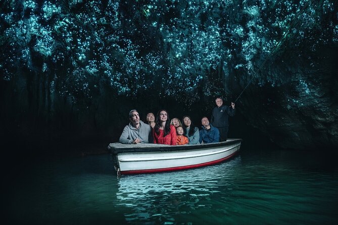 Full Day Waitomo Glow Worm Cave and Kiwi House Tour - Schedule