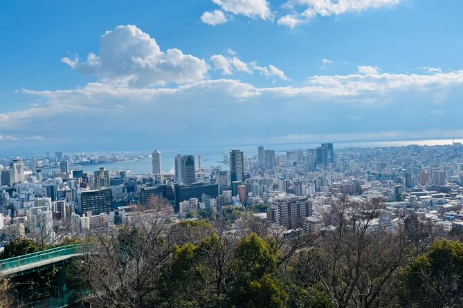 Full Day Walking Tour Around Kobe Mountains Sea and Sake - Meeting and Pickup