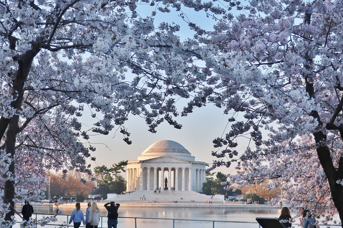 Full Day Washington DC Tour From New York City - Highlights of Washington DC