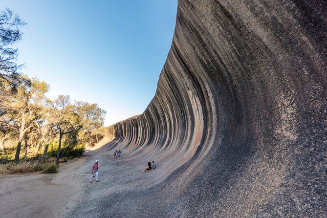 Full-Day Wave Rock & Historic York - Wave Rock Formation