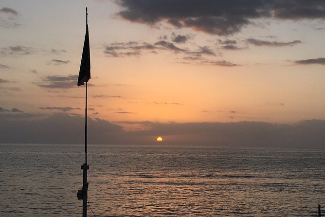 Full-Day West Puerto Rico Tour With Transport - Experience & Activities