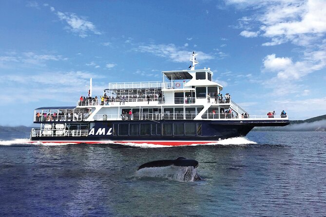 Full-Day Whale Watching Cruise From Quebec City - Included and Excluded
