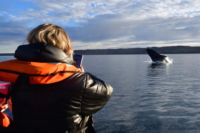 Full Day Whale Watching From Puerto Madryn - Meeting and Pickup Details