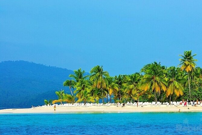 Full-Day Whale Watching Tour in Samana Bay From Punta Cana - Whale Watching Experience