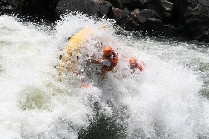 Full-Day White Water Rafting on the Zambezi River - Pricing and Availability