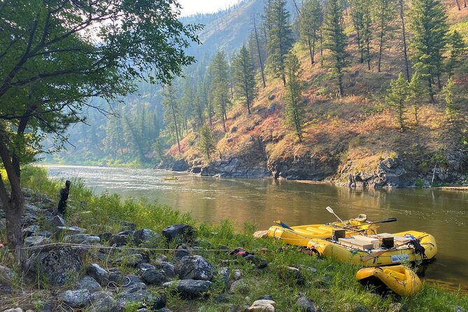 Full-Day Whitewater Rafting Tour on the Salmon River - Accessibility and Medical Conditions