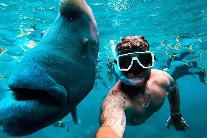 Full-Day Whitsunday Sail and Snorkel Adventure With Lunch - Additional Information