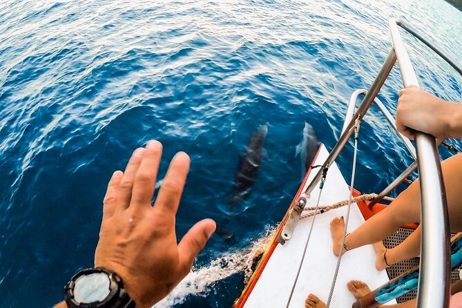 Full-Day Whitsunday Sail and Snorkel Adventure With Lunch - Exploring the Whitsunday Islands
