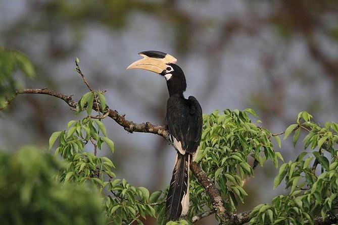 Full Day Wilpaththu National Park Safari (All Inclusive) - Getting to the Park