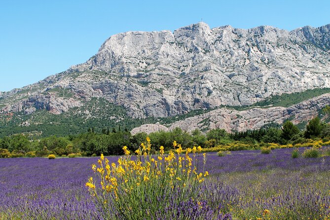 Full-Day Wine and Cheese Tour Around Aix-En-Provence From Marseille - Tour Accessibility and Requirements