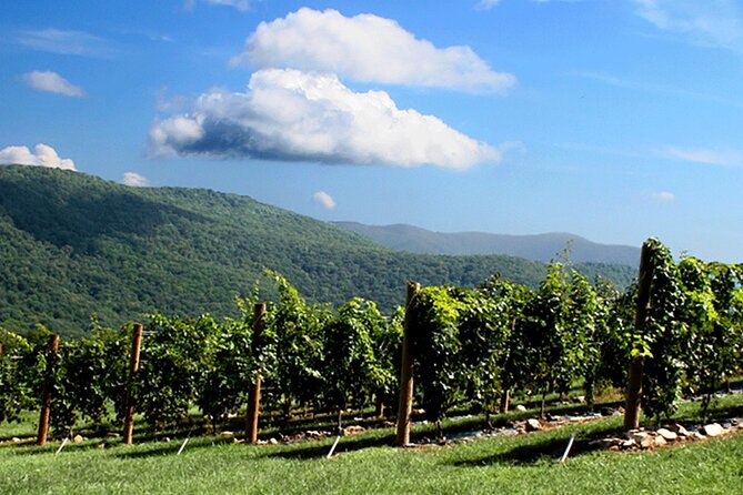 Full-Day Wine Country Wine Tastings From Atlanta - Transportation Details