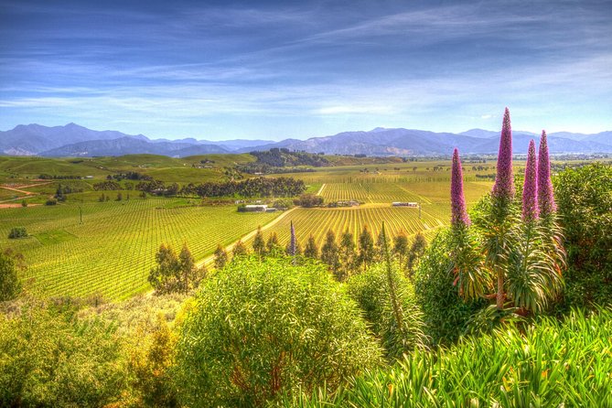 Full-Day Wine Gourmet and Scenic Delight Tour of Marlborough From Blenheim - Inclusions and Logistics