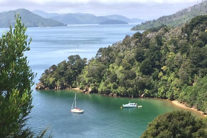 Full-Day Wine Gourmet and Scenic Delight Tour of Marlborough From Blenheim - Age Requirements and Policies