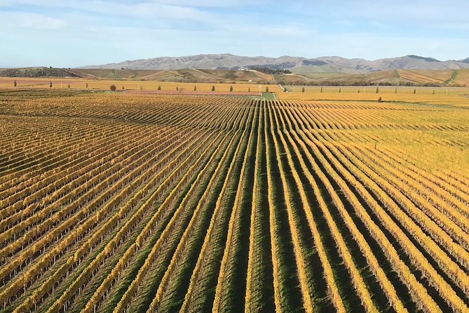 Full-Day Wine Gourmet and Scenic Delight Tour of Marlborough From Blenheim - Customer Reviews and Feedback
