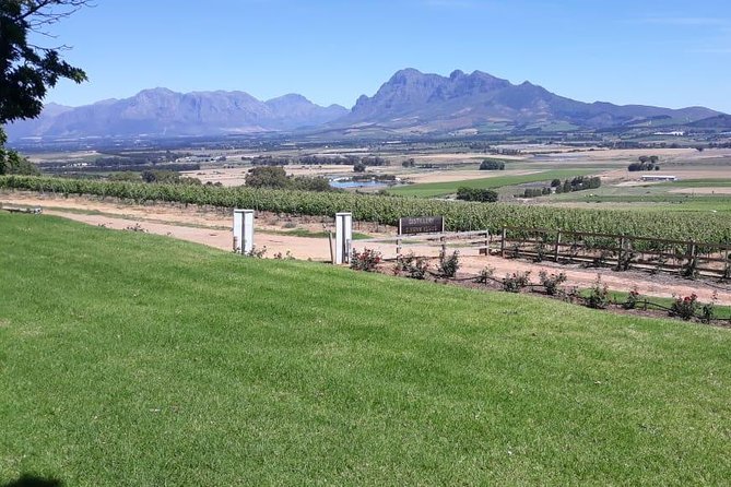 Full Day Wine Tasting in Stellenbosch, Franschoek & Paarl Fees Included - Inclusions