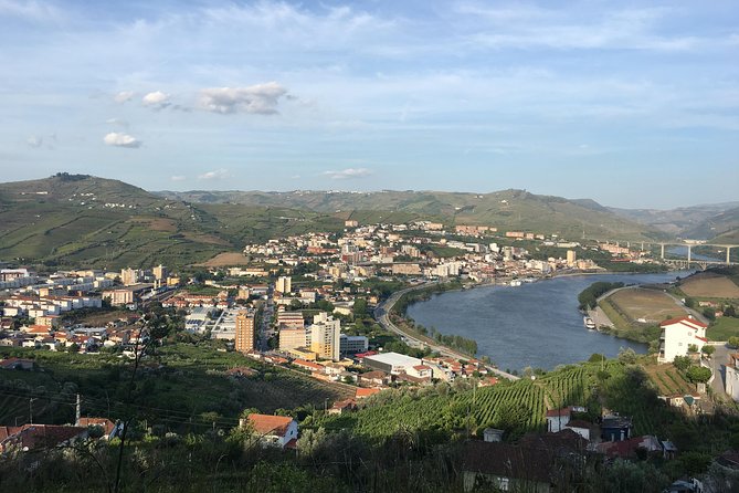 Full Day, Wine Tasting, River Cruise and Lunch From Porto - Scenic Douro River Cruise