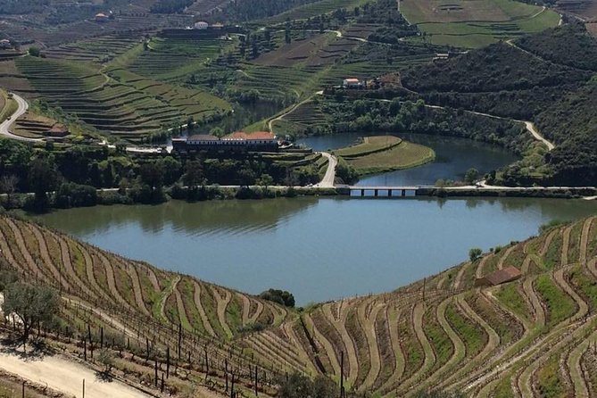 Full Day, Wine Tasting, River Cruise and Lunch From Porto - Meeting and Pickup Details