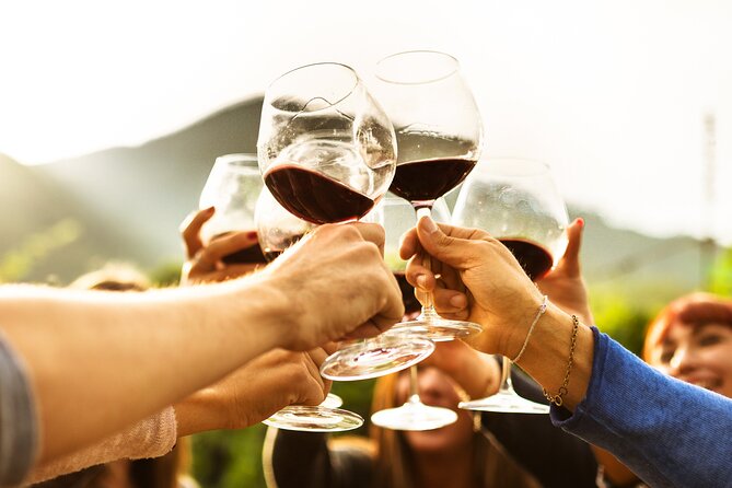 Full-Day Wine Tasting Tour in Auckland With 3-Course Vineyard Lunch - Dining Experience