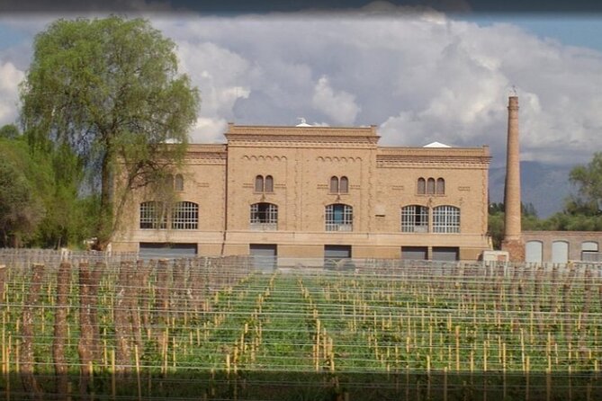 Full Day Wine Tasting Tour to Maipú From Mendoza - Participation Requirements