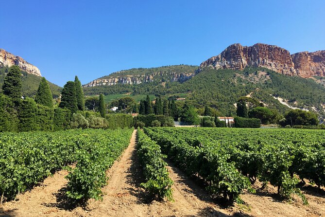 Full-Day Wine Tour Around Bandol & Cassis From Marseille - Winery Visits and Tastings