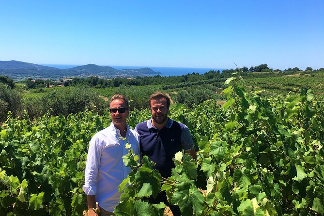 Full-Day Wine Tour Around Bandol & Cassis From Marseille - Convenient Transportation and Meeting Point