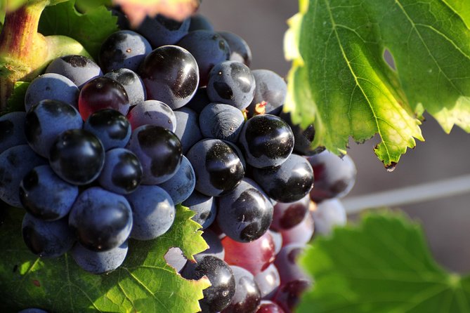 Full Day Wine Tour Around Luberon From Aix En Provence - Transportation and Accommodations