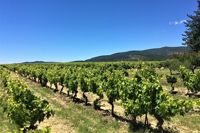 Full-Day Wine Tour Around Luberon From Marseille - Itinerary and Schedule Details