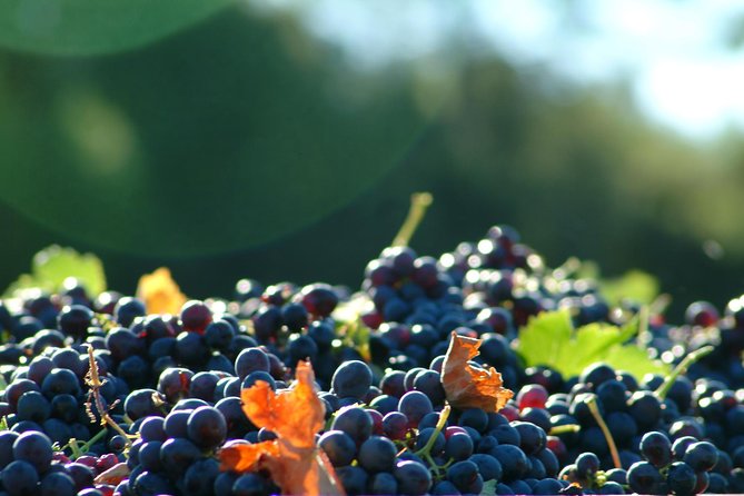 Full-Day Wine Tour Around Luberon From Marseille - Transportation and Meeting Information