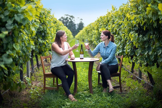 Full-Day Wine Tour From Blenheim - Winery Tasting Experiences