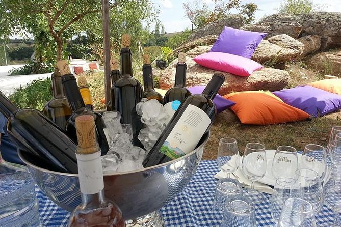 Full-Day Wine Tour From Istanbul - Tour Logistics