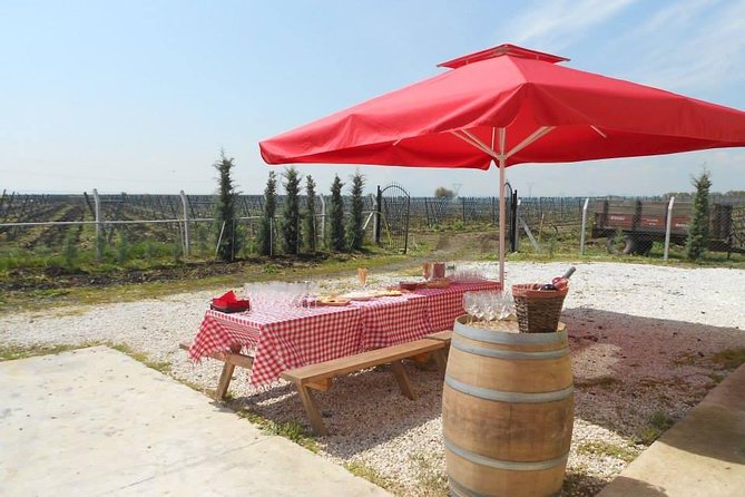 Full-Day Wine Tour From Istanbul - Boutique Winery Experiences