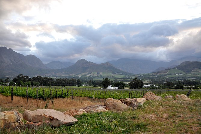Full-Day Wine Tour From Stellenbosch - Included and Excluded
