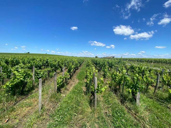 Full Day Wine Tour in Saint Emilion & Margaux - Key Points