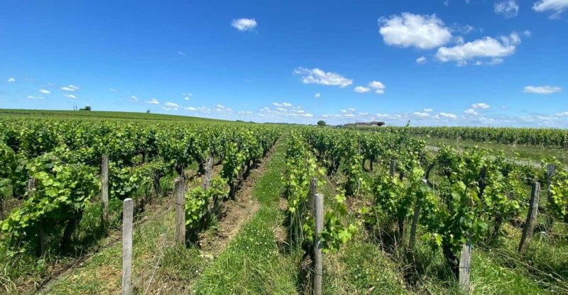 Full Day Wine Tour in Saint Emilion & Margaux - Itinerary Highlights