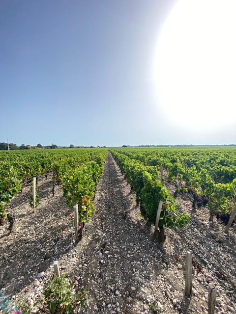 Full Day Wine Tour in Saint Emilion & Margaux - Starting Location