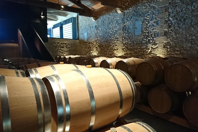 Full-Day Wine Tour in Saint-Emilion (Premium Sedan) - Renowned Vineyards and Châteaux