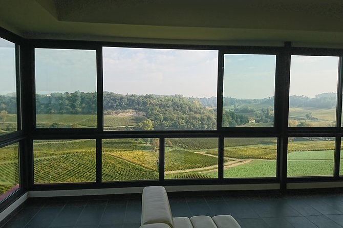 Full-Day Wine Tour in Saint-Emilion (Premium Sedan) - Personalized and Unique Experiences