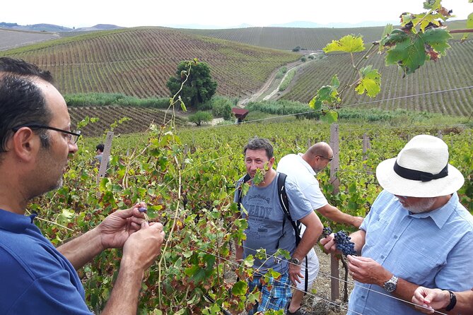 Full-Day Wine Tour in Western Sicily - Customizable Itinerary and Interests