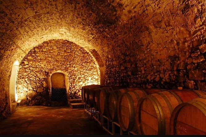 Full Day: Wine Tour of the Cassis Vineyards - Itinerary Highlights