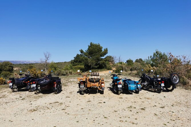 Full Day: Wine Tour of the Cassis Vineyards - Customer Reviews