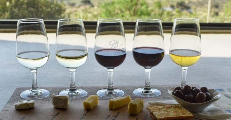 Full Day Wine Tour With 14 Wine Tasting + Lunch INCLUDED - Itinerary Highlights
